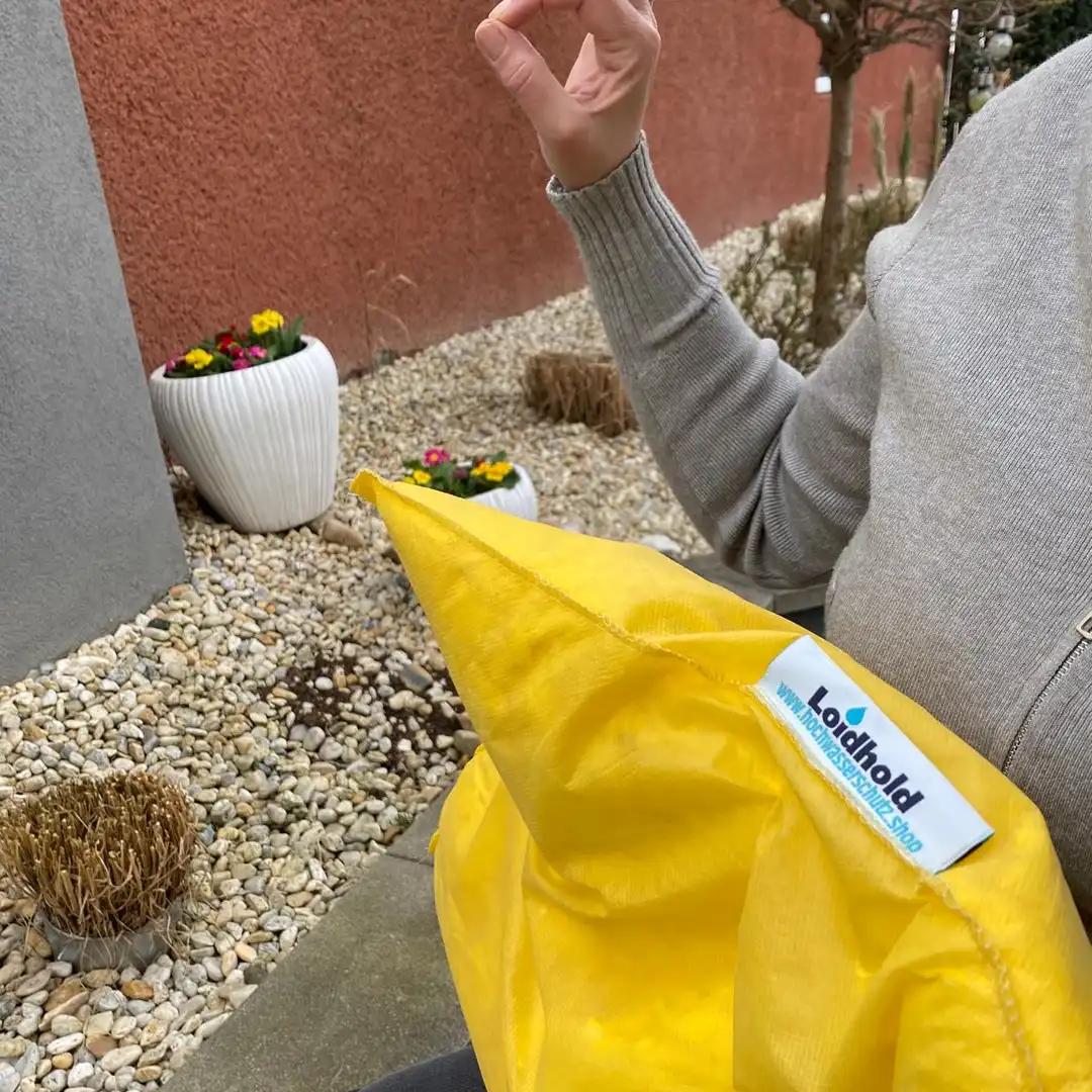 WiesbadenLoewe